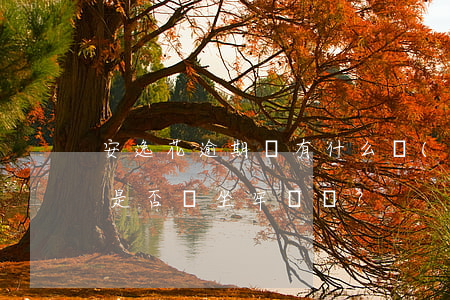 安逸花逾期會有什么嚴(yán)重后果？是否會坐牢？